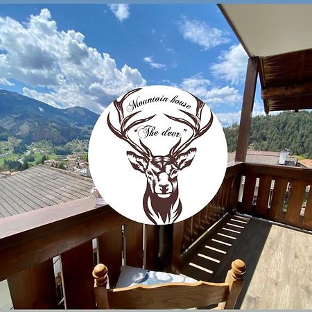 Apartament Mountain House The Deer Tesero Zewnętrze zdjęcie