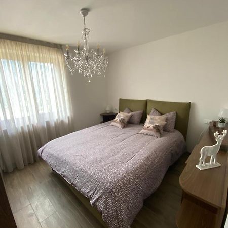 Apartament Mountain House The Deer Tesero Zewnętrze zdjęcie