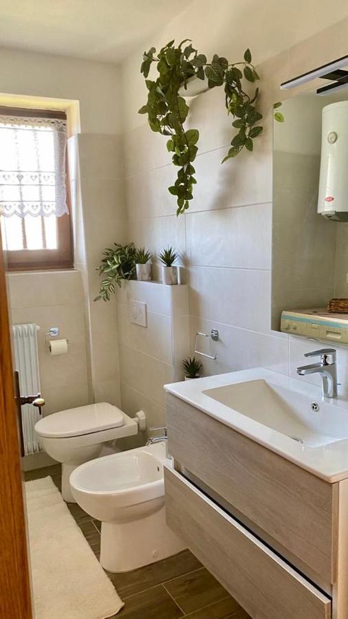 Apartament Mountain House The Deer Tesero Zewnętrze zdjęcie