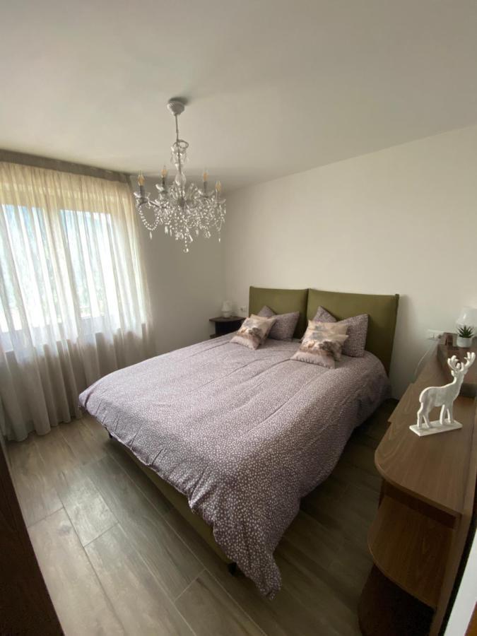 Apartament Mountain House The Deer Tesero Zewnętrze zdjęcie